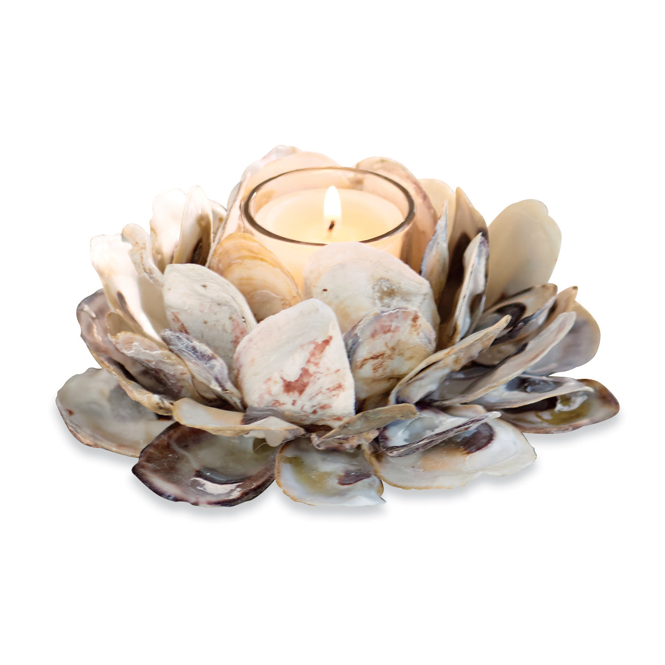 OYSTER SHELL VOTIVE HOLDER - A. Dodson's