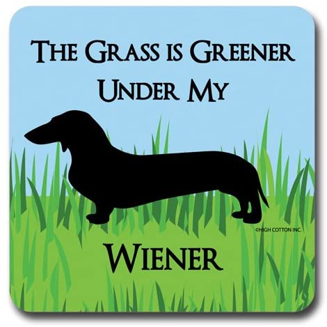 GREENER WIENER COASTER - A. Dodson's