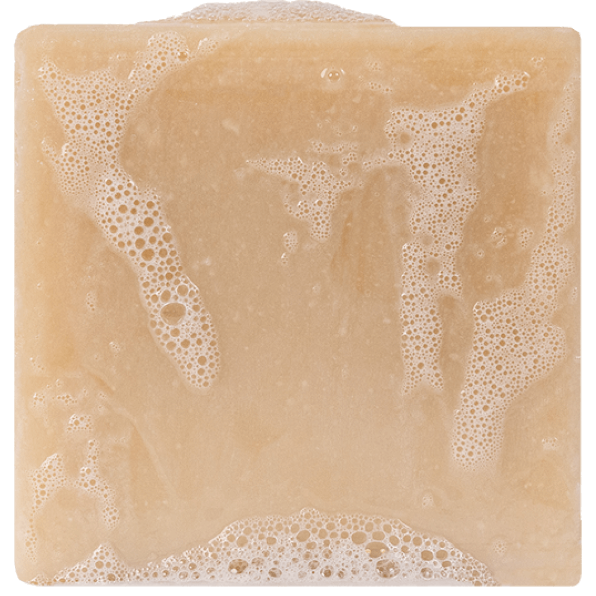 DR. SQUATCH BAR SOAP - BAY RUM - A. Dodson's