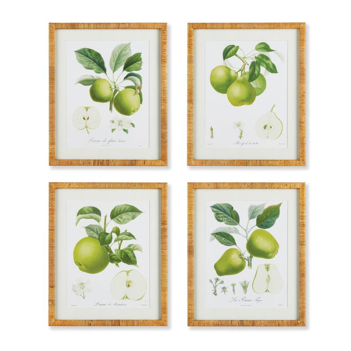 FRUIT STUDY, SET OF 4 BY NAPA HOME & GARDEN