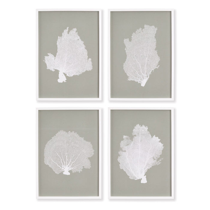CORAL FANS STUDY, SET OF 4 BY NAPA HOME & GARDEN