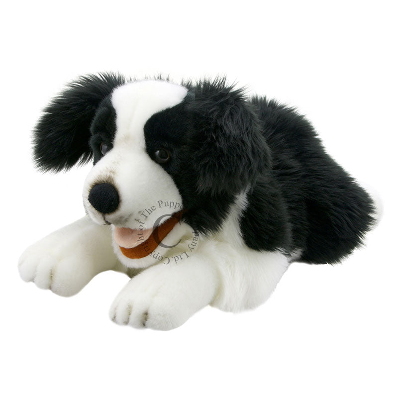 BORDER COLLIE PUPPET