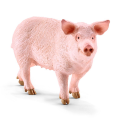 PIG BY SCHLEICH - A. Dodson's