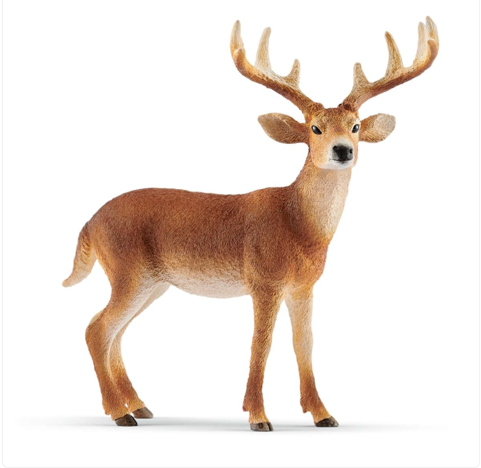 WHITE-TAILED BUCK BY SCHLEICH - A. Dodson's