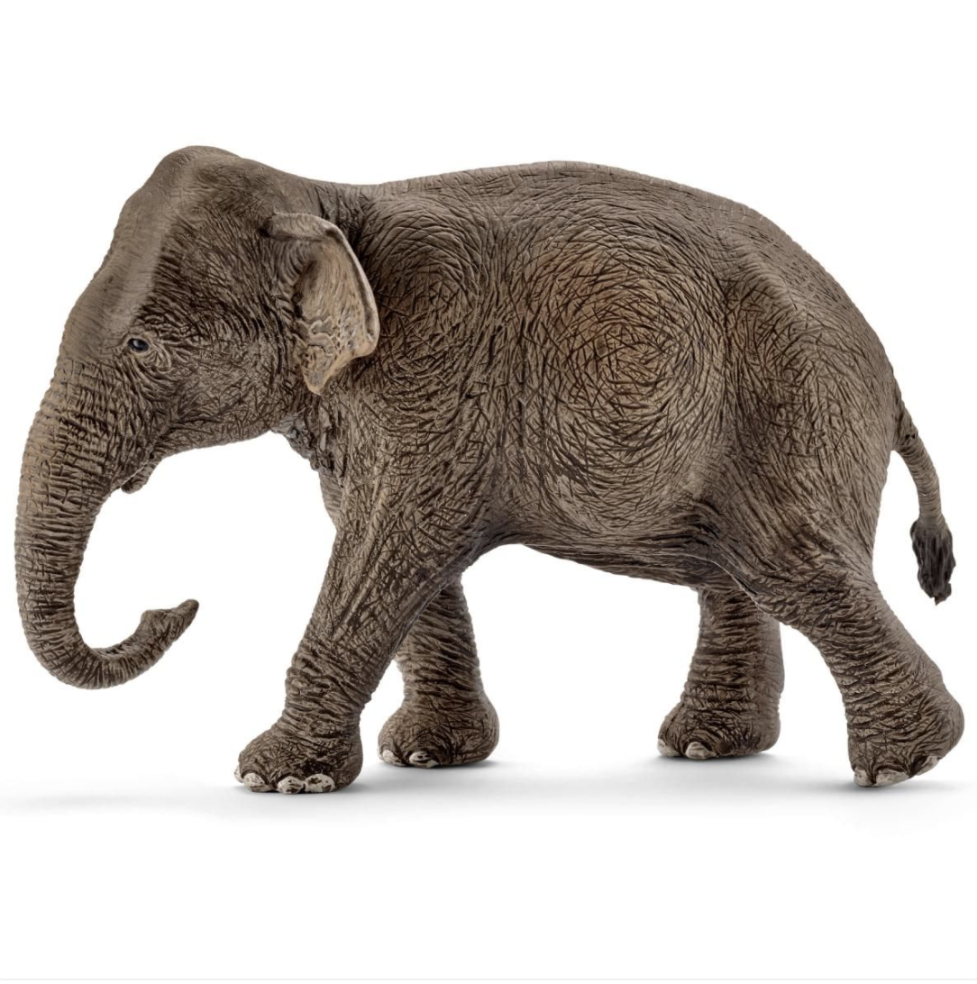 ASIAN FEMALE ELEPHANT BY SCHLEICH - A. Dodson's