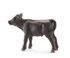 Black Angus Calf BY SCHLEICH - A. Dodson's