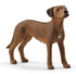 RHODESIAN RIDGEBACK BY SCHLEICH - A. Dodson's