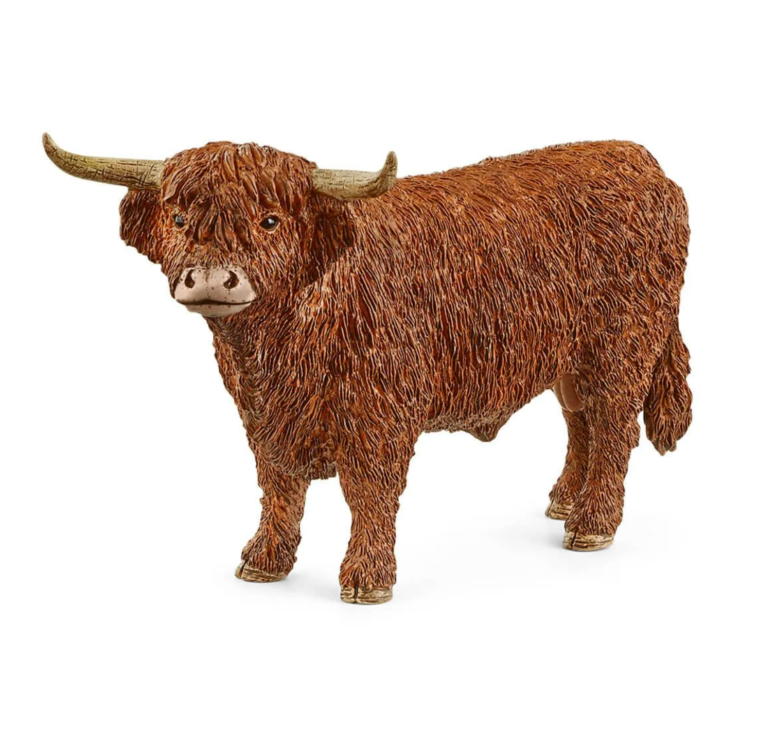 HIGHLAND BULL BY SCHLEICH - A. Dodson's