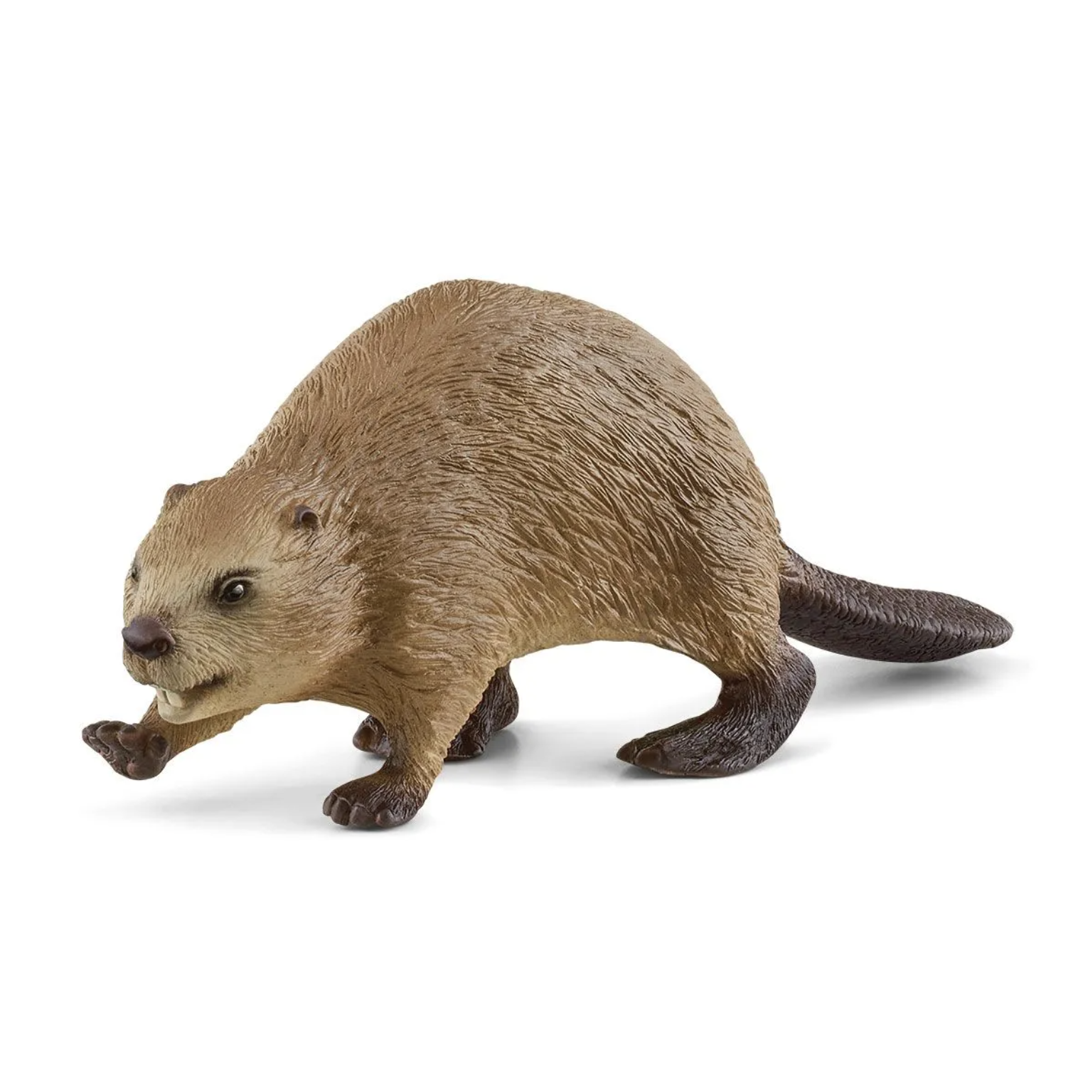 BEAVER BY SCHLEICH - A. Dodson's