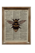 Wood Framed Glass Book Print Wall Décor with Bee, 2 Styles - A. Dodson's