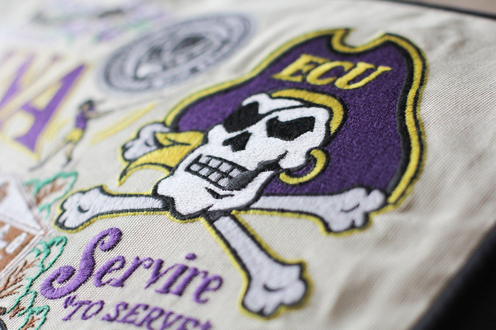 EAST CAROLINA UNIVERSITY PILLOW BY CATSTUDIO - A. Dodson's